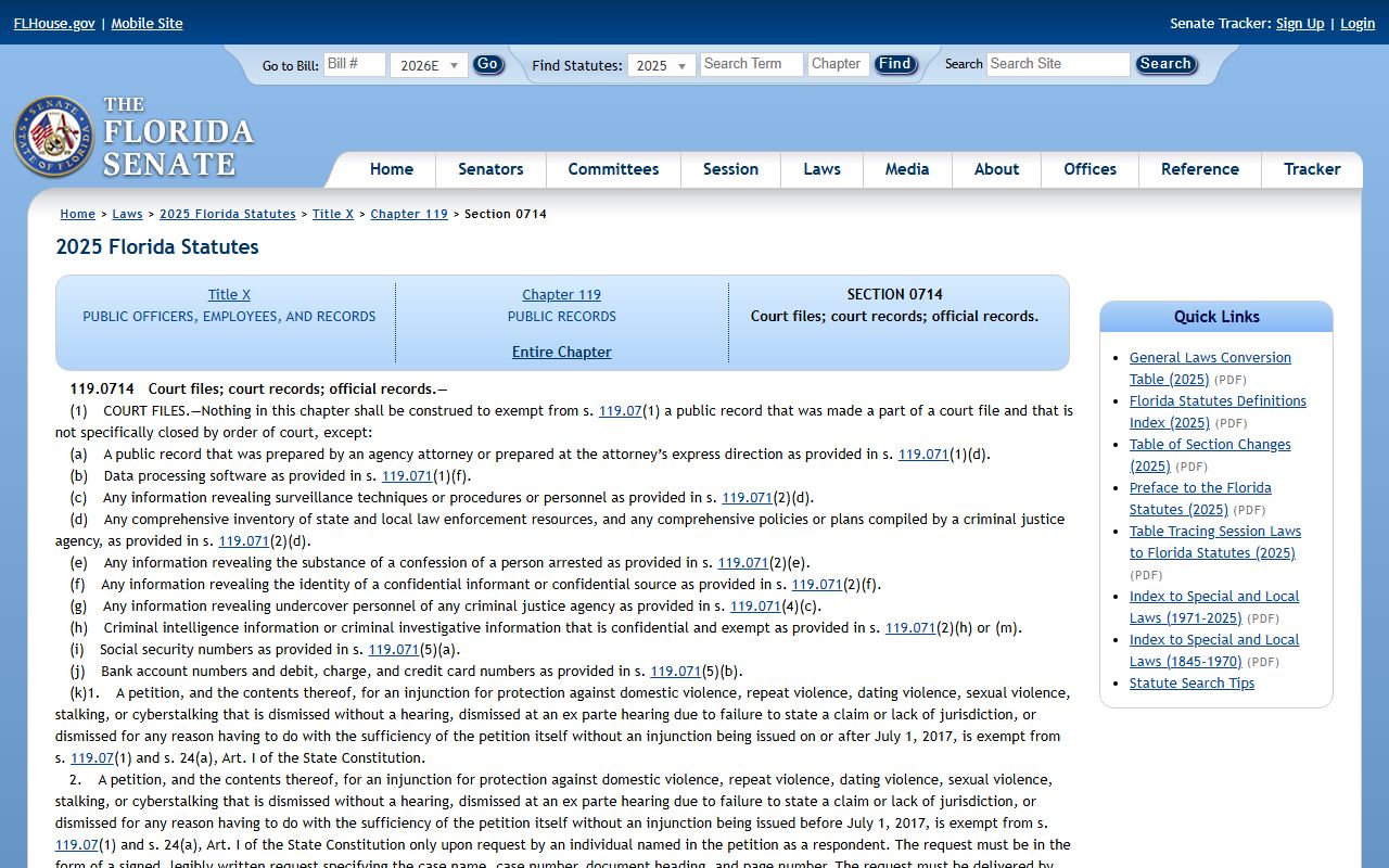 Marion County court records Florida Statute 119.0714 page on court files